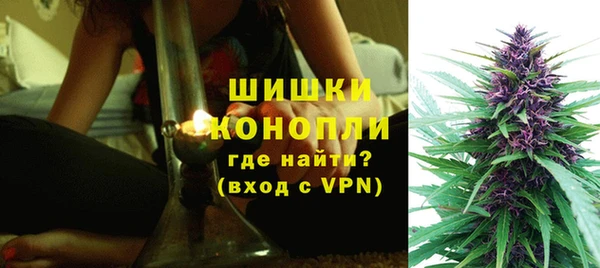 PSILOCYBIN Дмитриев