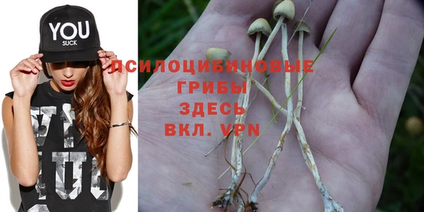 гидра Покров