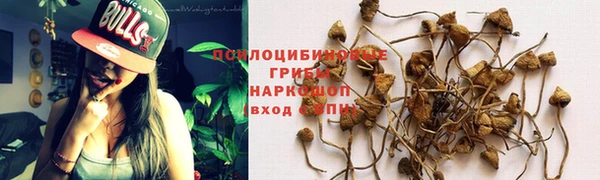 mdma Протвино