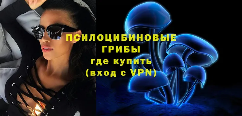 Галлюциногенные грибы мицелий Агидель