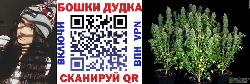 Шишки марихуана гибрид  Агидель 